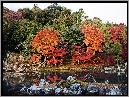 Drzewa, Rzeka, Kyoto, Japonia, Kolorowe